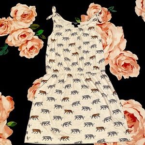 Gap Kids white lion dress.Kids size medium 8-9.